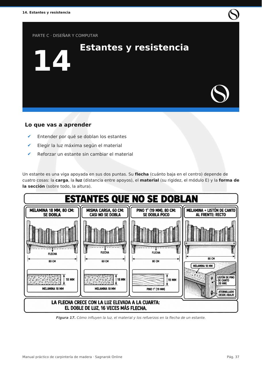 Manual Práctico de Carpintería de Madera + Cuaderno de Actividades